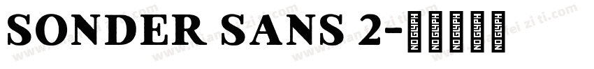 Sonder Sans 2字体转换